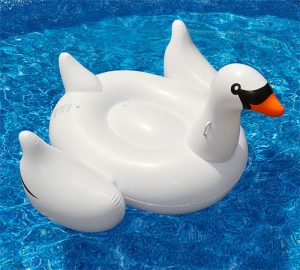 Giant Inflatable Swan Floating in Pool