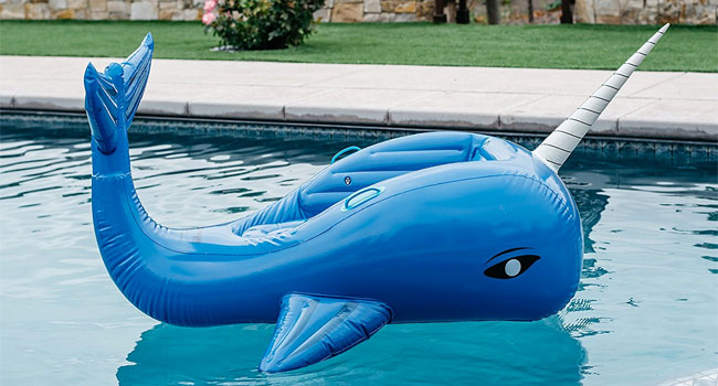 Inflatable Narhwal Whale with Unicorn-Like Tusk/Horn. Use as a Chair or a Pool Float